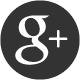 Google Plus icon