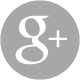 Google Plus icon